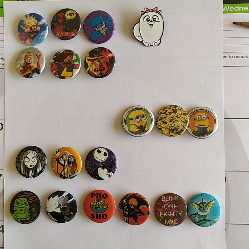 Pin Lot 19 Assorted